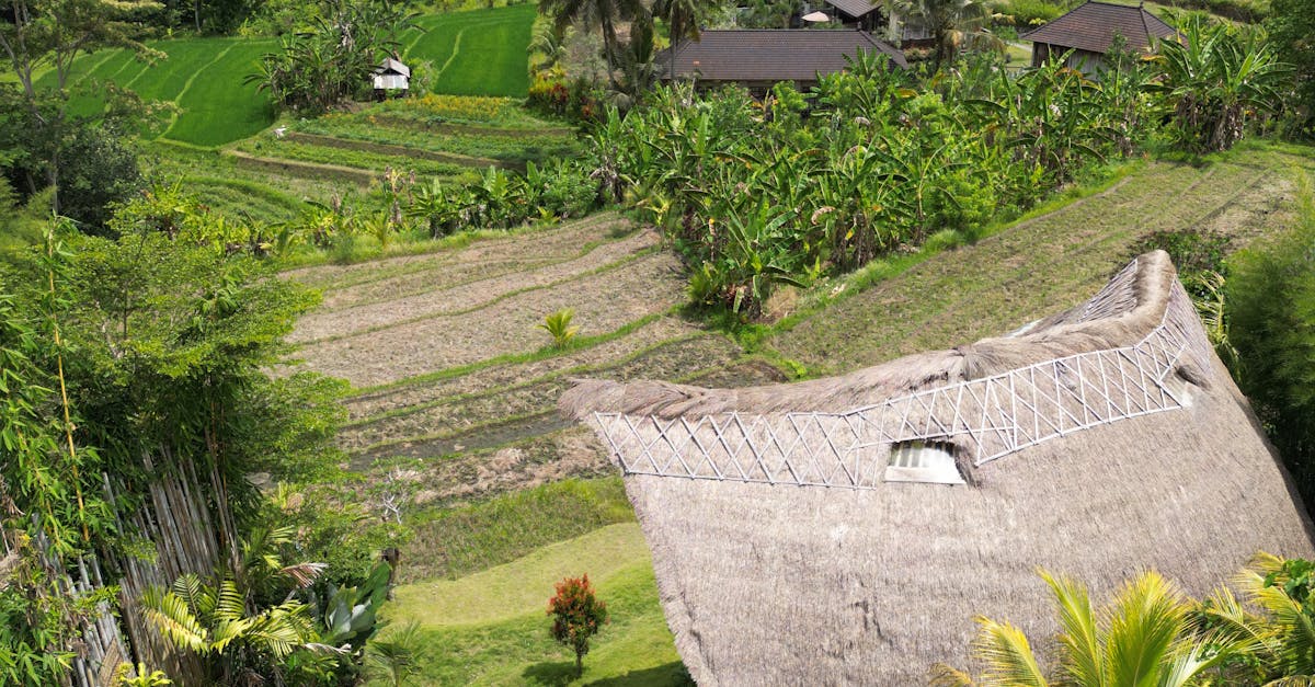 Beachfront Villas in Bali: A Paradise for Surfers