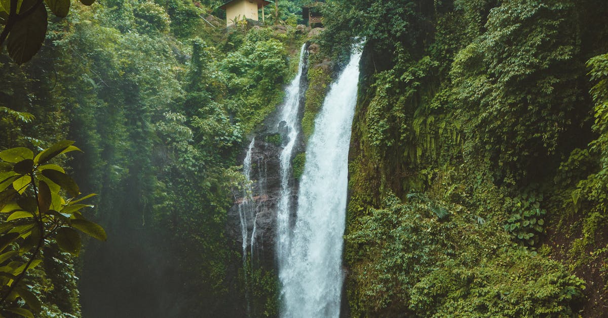 Perched Paradise: Exploring Cliffside Villas in Bali