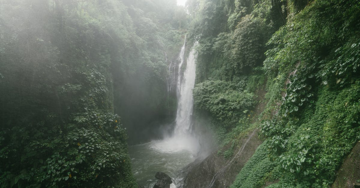 Unforgettable Experiences in Ubud Villas