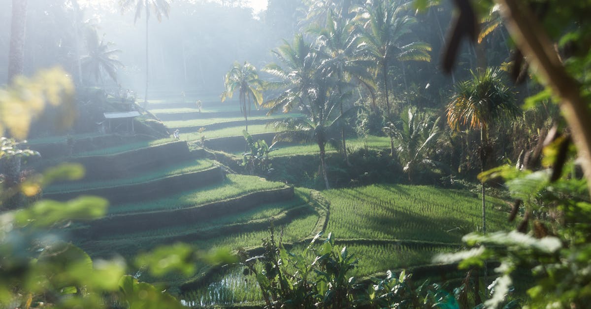 Unveiling the Cultural Charms of Ubud Villas